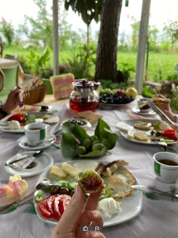 Hotel Nature Kolonje 외부 사진
